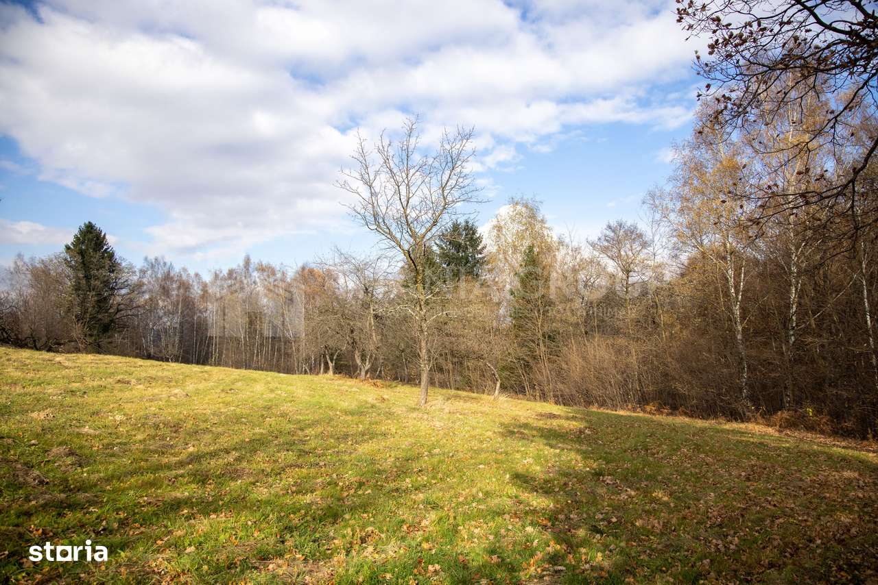 Teren intravilan, cu PUZ, Bran Tohanita,  SE ACCEPTĂ ȘI SCHIMB-4