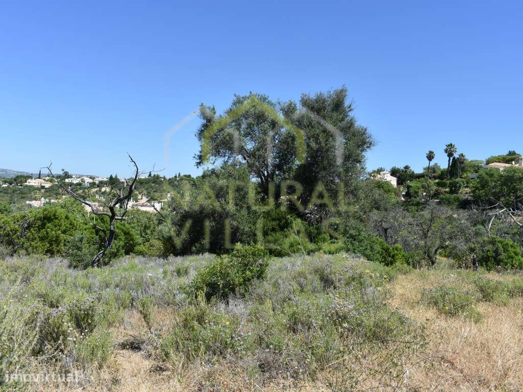 Terrenos Rústicos com Vista Mar Panorâmica em Vale Formoso, Loulé - Grande imagem: 3/15