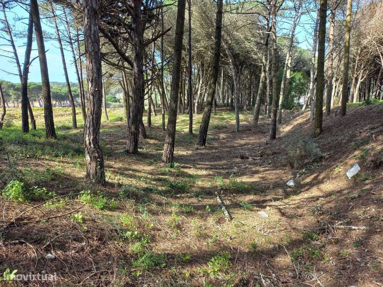 Terreno em Janas - Grande imagem: 5/17