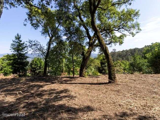 Terrenos - Vila Verde-4