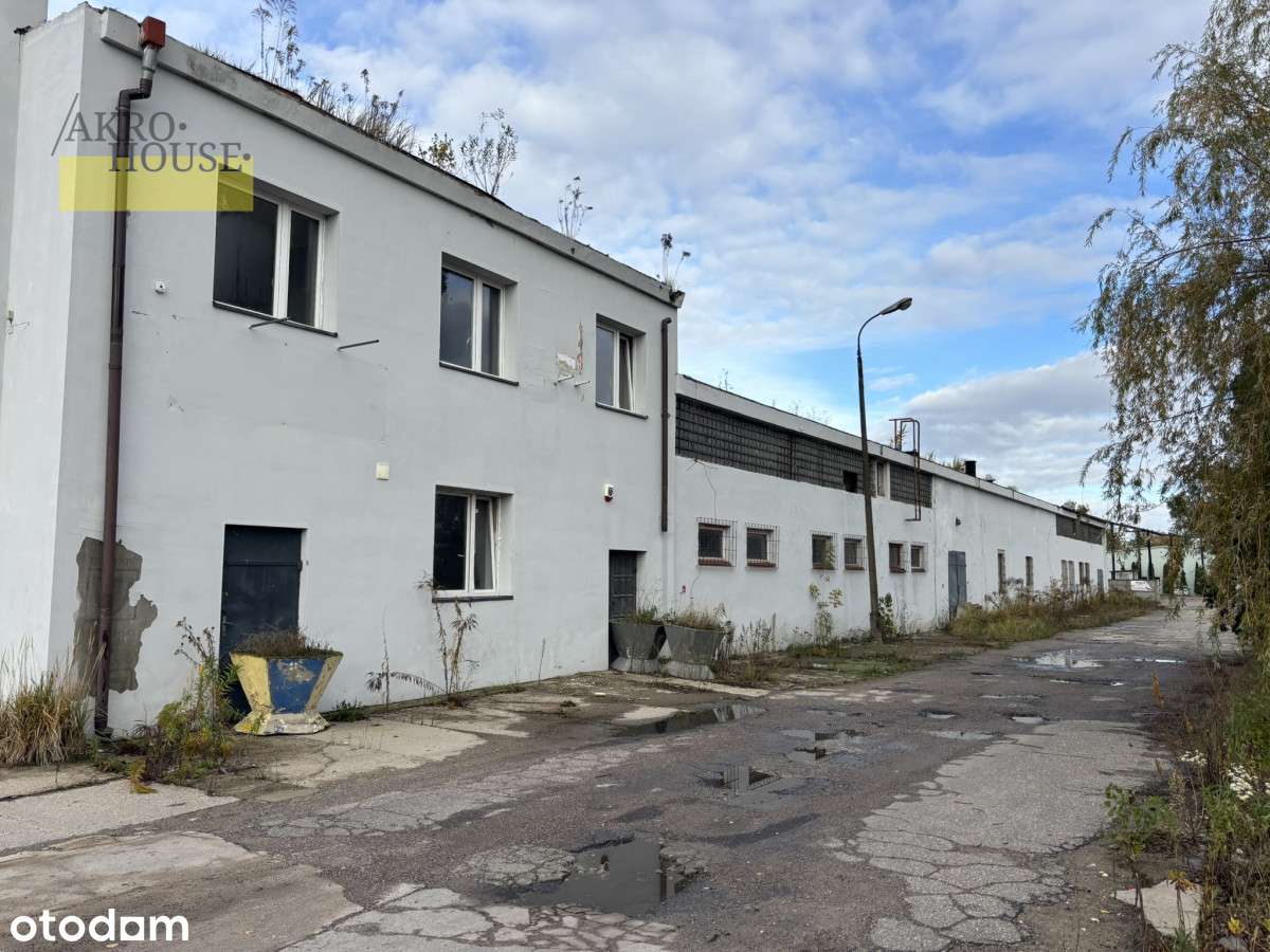 Teren produkcyjno-magazynowy - 24km od A2 Wiskitki - Pełny obrazek: 5/10