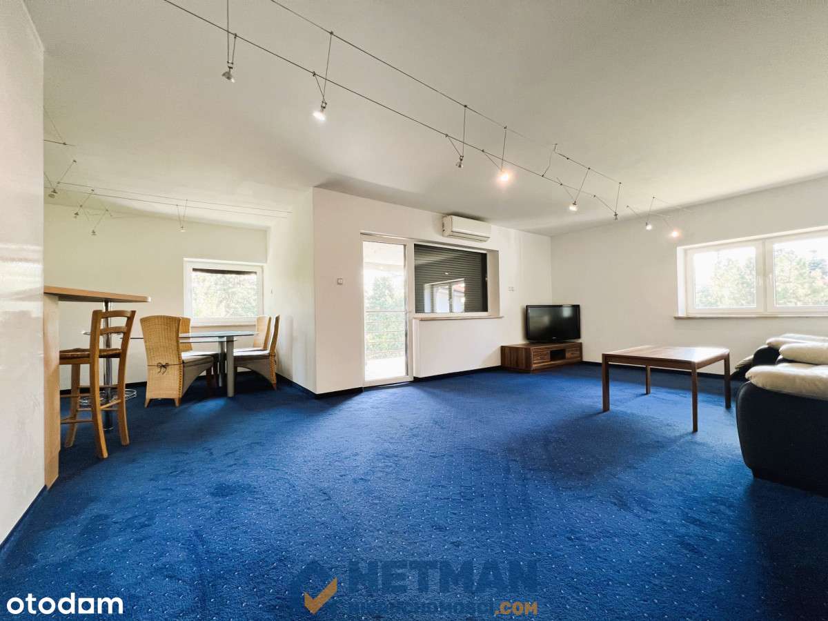 Luboń - wolnostojący, ok 450m2, garaż, ogród-15