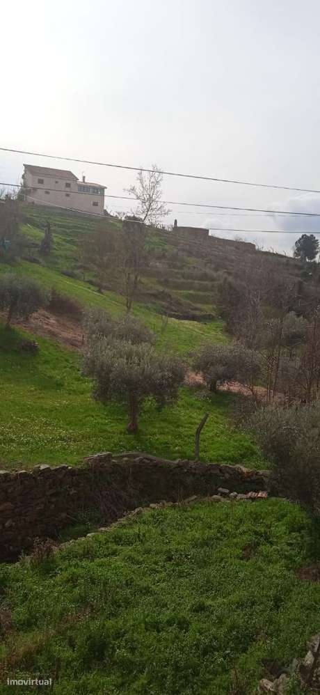 Vende casinha em pedra Salgueiros Murça - Grande imagem: 5/8