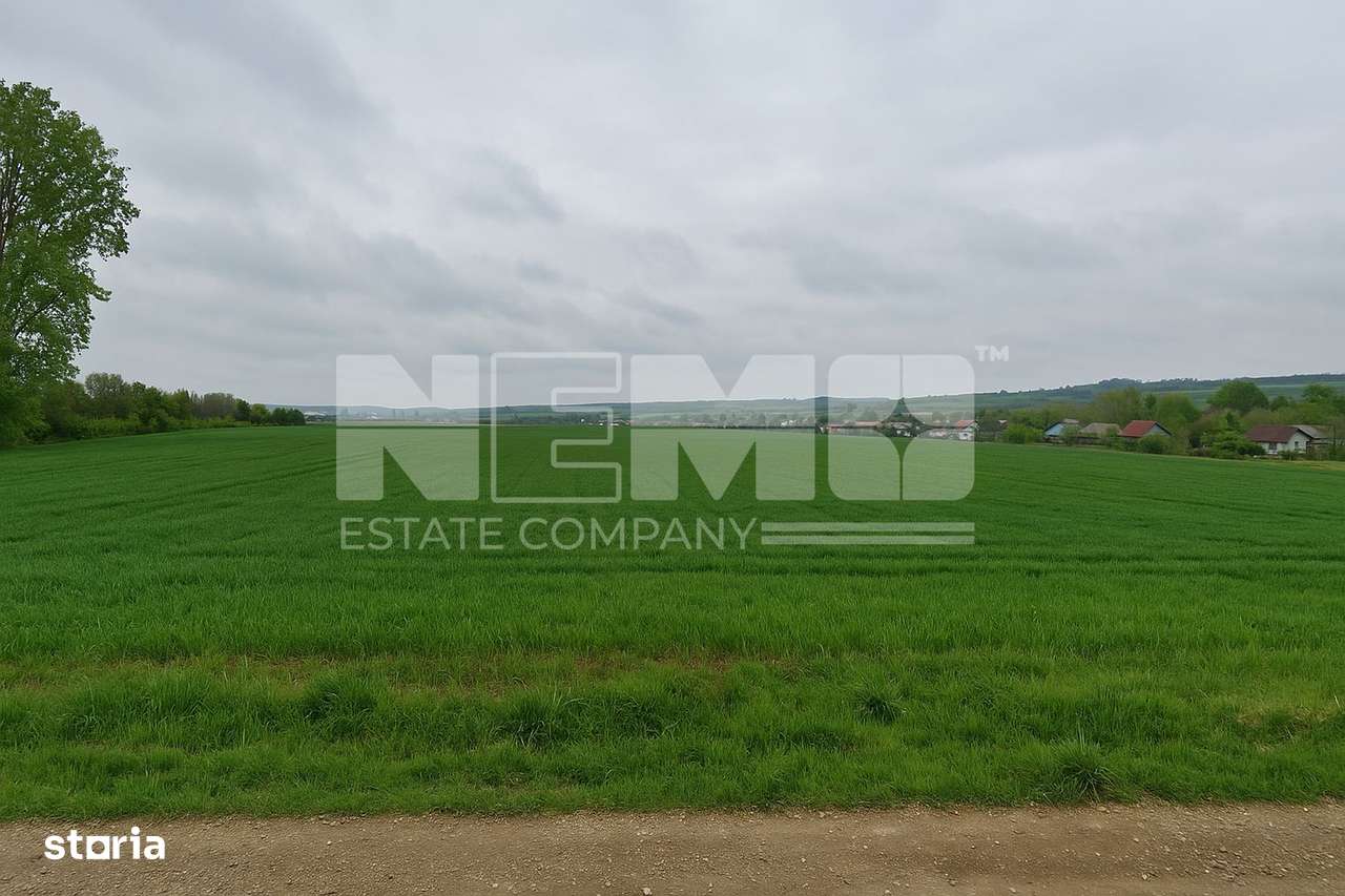 Teren intravilan 3.931 mp | Iacobești | Investiție excelentă - Imagine principală: 5/10