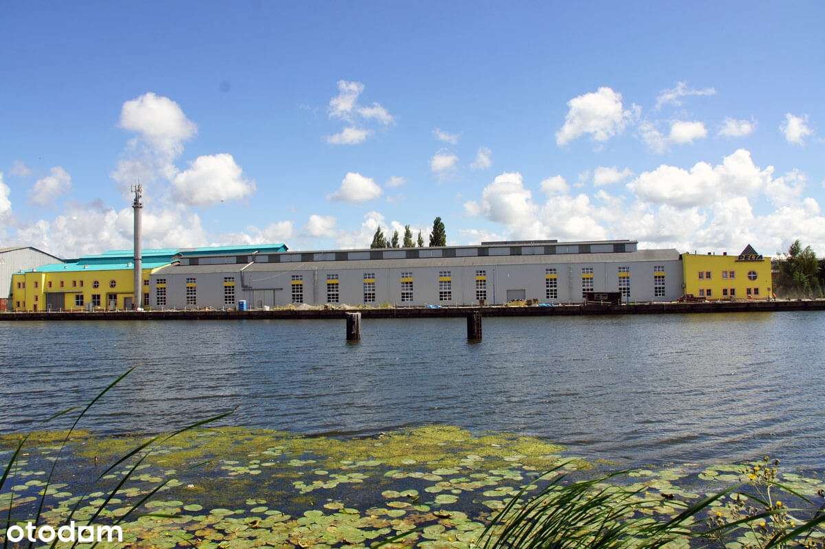 hala z dostępem do nabrzeża portowego - Pełny obrazek: 4/9