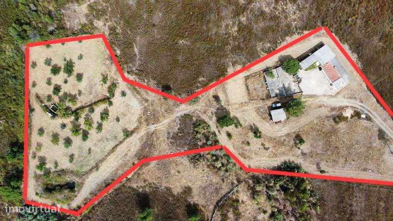 Quinta à venda no Salgueiro do Campo com 1,462hectares e moradia 107m2 - Grande imagem: 4/6