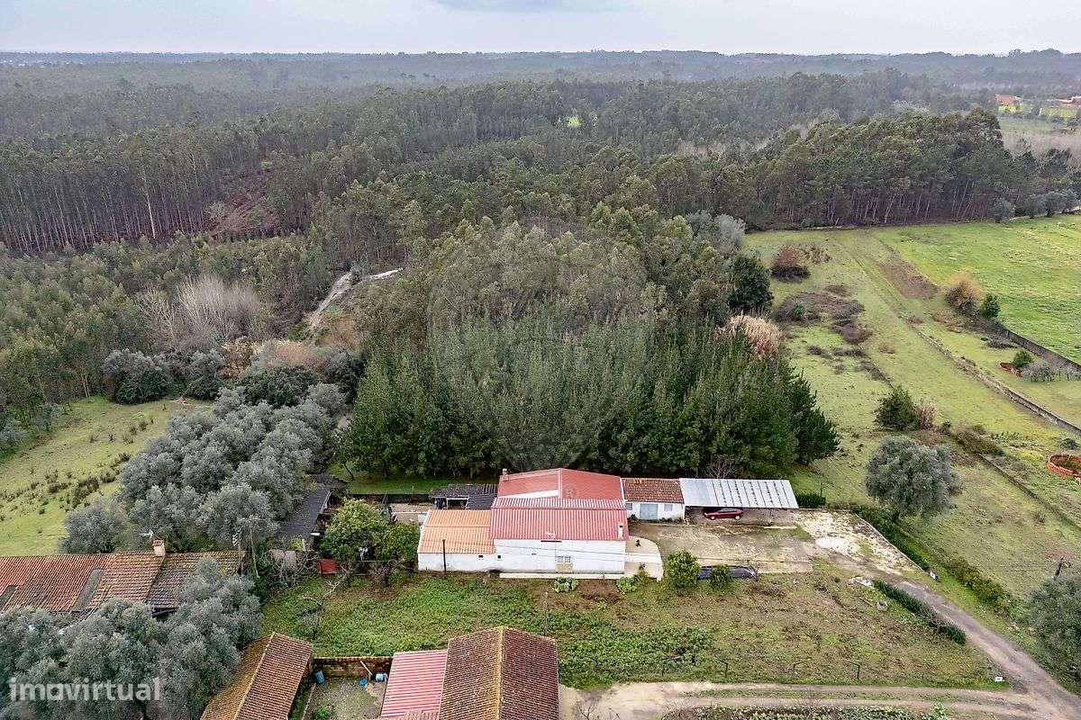 Terreno  para venda - Grande imagem: 2/10