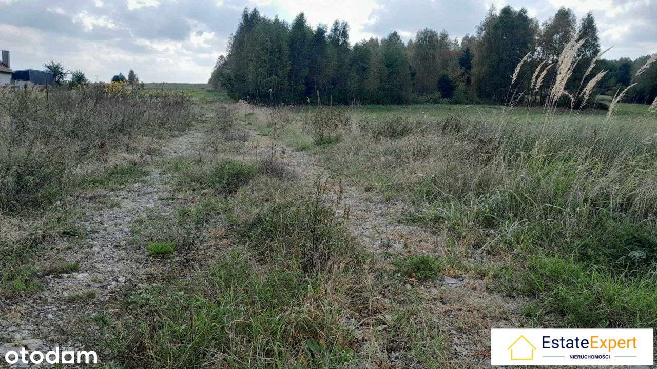 Atrakcyjne działki budowlane Wólka Pokłonna - Pełny obrazek: 5/5