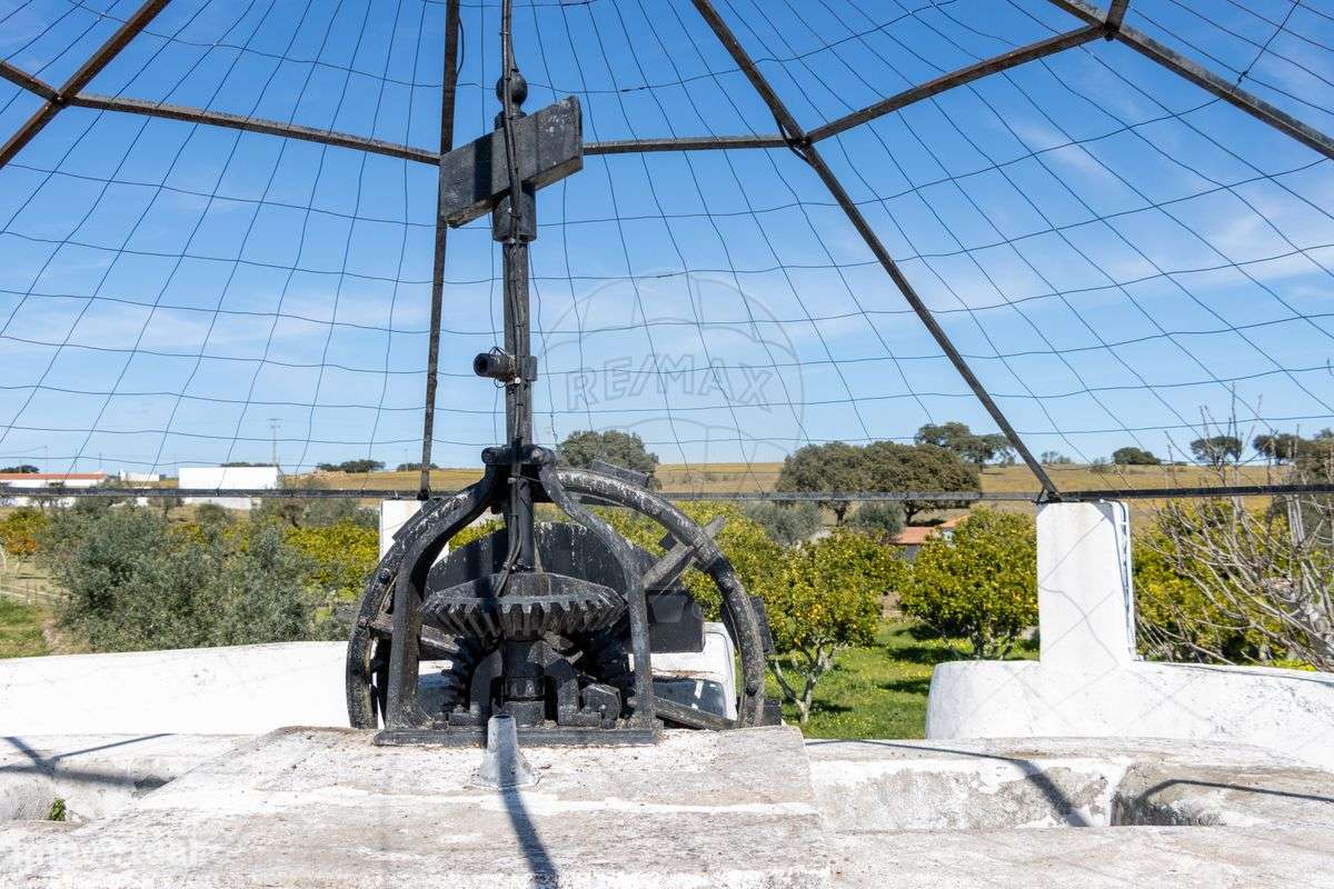 Quinta T7 para venda - Grande imagem: 5/37