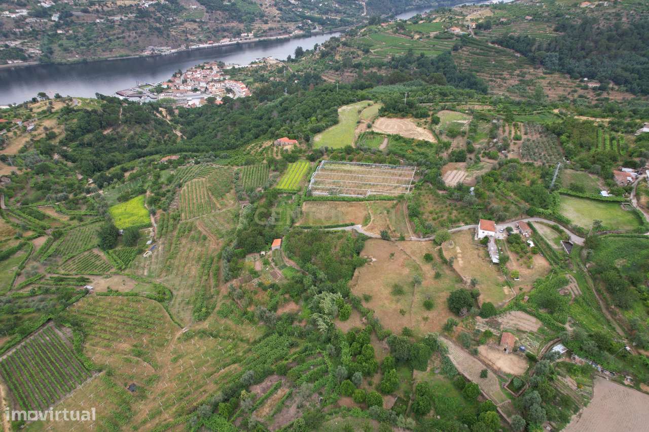 Quinta em Miomães, Resende | Um refúgio rural com cerca de 4 hectares-6