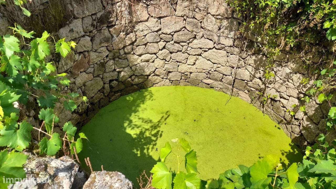 Terreno Rústico  Venda em Escalos de Cima e Lousa,Castelo Branco-8