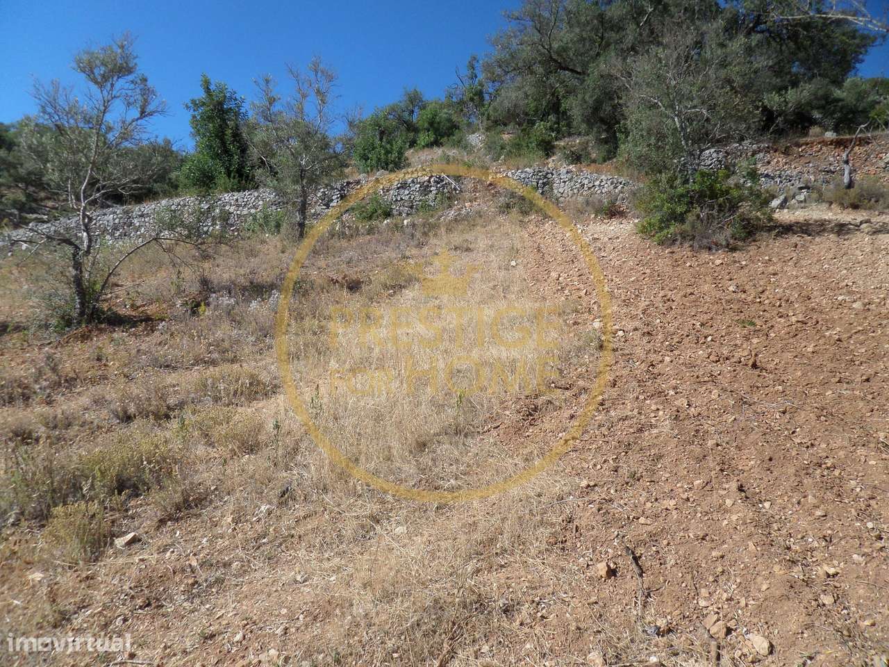 Terreno, 1 410 m², Boliqueime-9