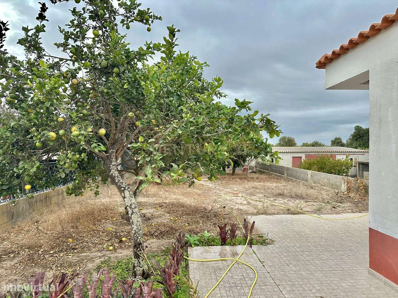 Moradia T3 junto ao porto de barcos de Escaroupim-21