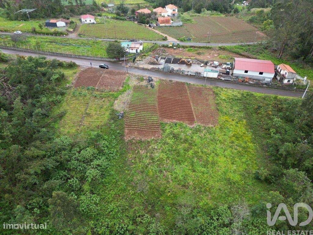 Terreno para construção T2 em São Jorge de 3630,00 m2 - Grande imagem: 5/30