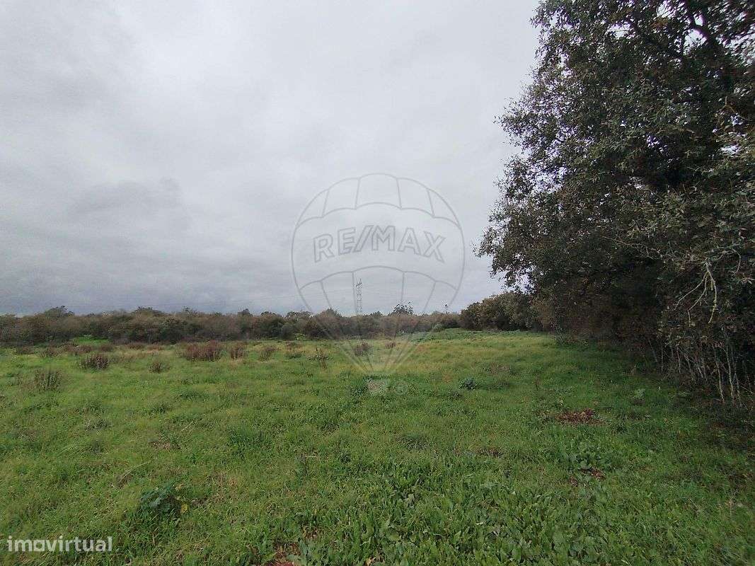 Terreno  para venda-7