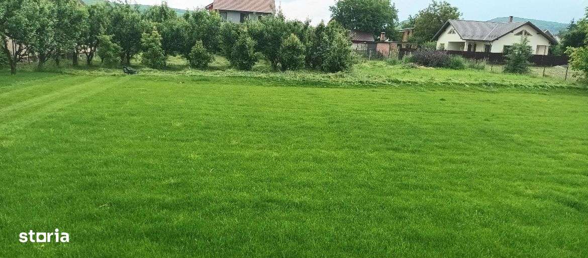 Vila 230 mp , teren 2300 mp , zona Nord - Imagine principală: 4/10