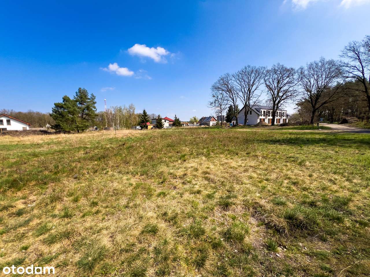 3 działki budowlane przy ul. Osiedlowej w Dobrej –powierzchnia 3050 m² - Pełny obrazek: 4/9