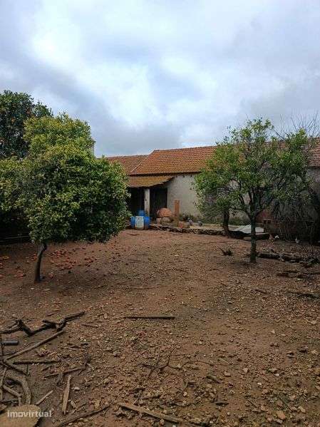 Vende-se barracao potencial para habitação - Grande imagem: 5/8