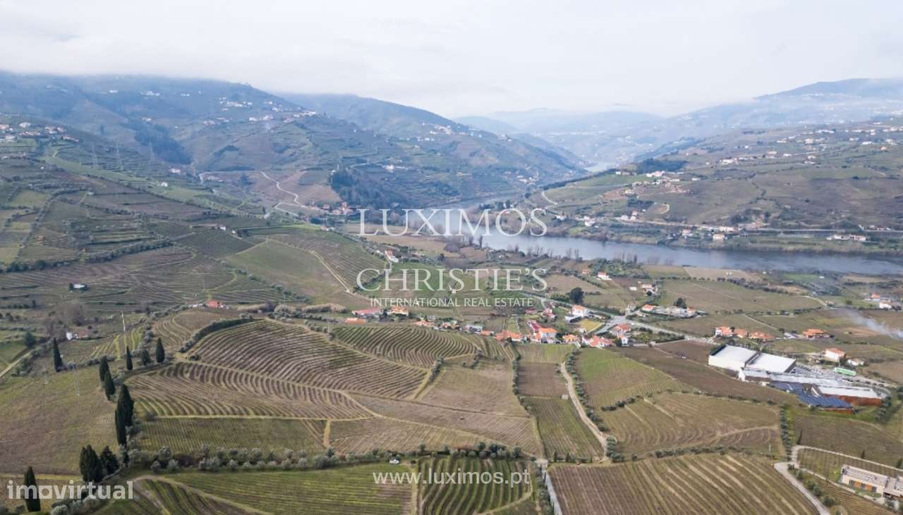Quinta vinícola à venda no Alto Douro Vinhateiro, Douro Valley - Grande imagem: 4/21