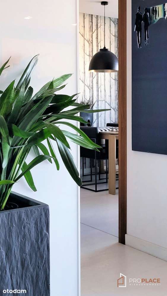 Górczyn 4 pokoje, 2 łazienki - jeden poziom, winda-4