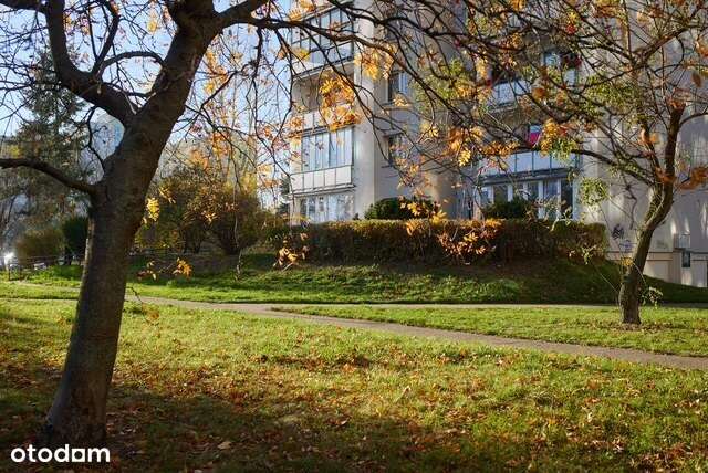 Dwa pokoje na parterze przy metrze Imielin-8