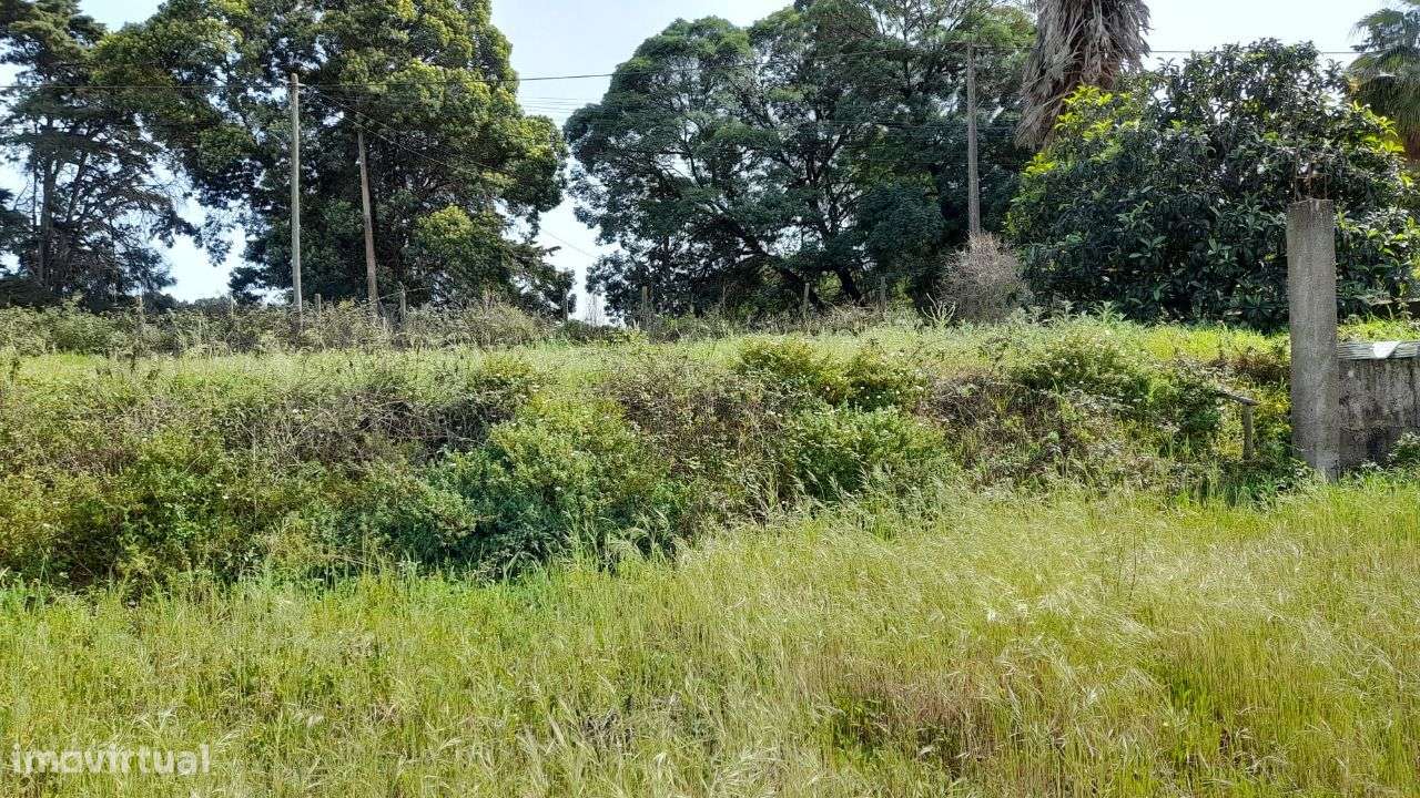 Setúbal/Padeiras Quinta 5000m2 para moradia.-5