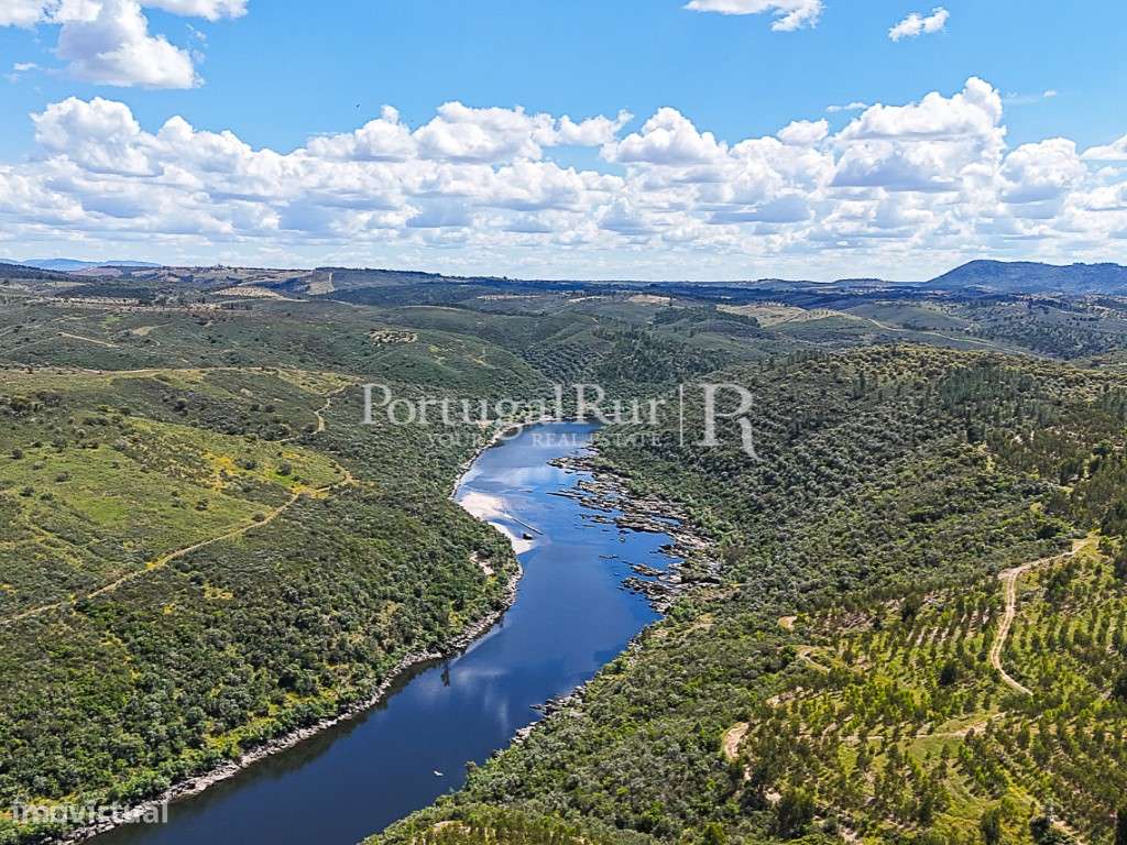 Herdade com 195 ha e 1.900 m2 de área urbana à beira do Tejo - Beir... - Grande imagem: 2/29
