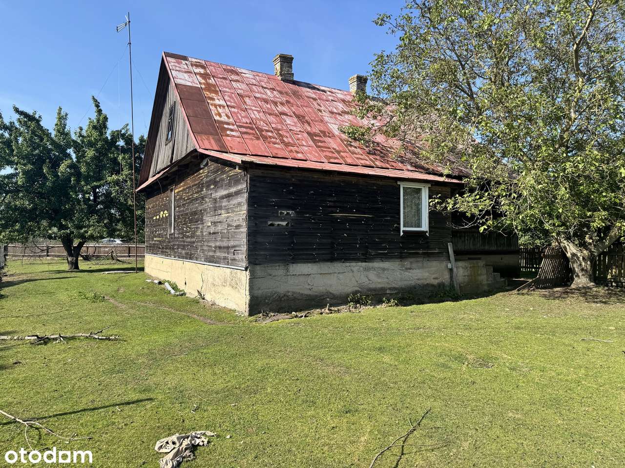 Borek - gmina Hajnówka - imponująca działka i drewniany dom! - Pełny obrazek: 5/20