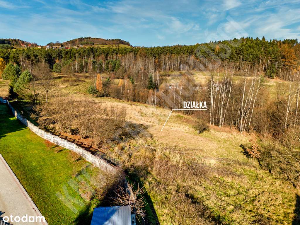 Działka w spokojnym miejscu blisko lasu-3