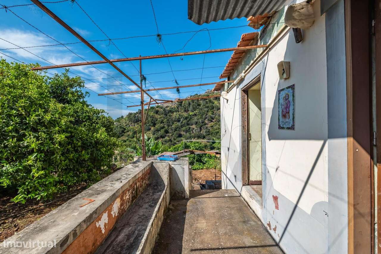 Casas T2 + Casa T4 + Terreno: Excellente Oportunidade de Investimento - Grande imagem: 4/35