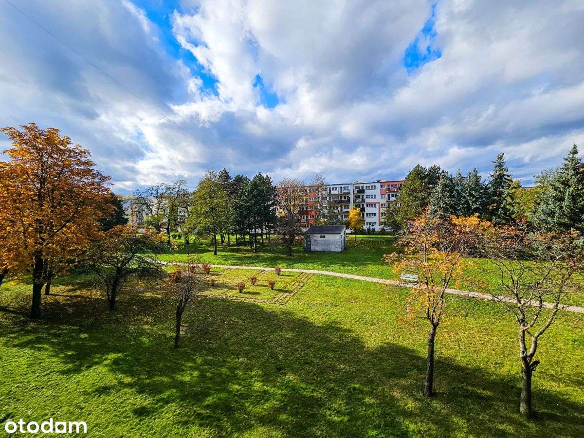 M3 Blisko Manufaktury - Pełny obrazek: 1/6