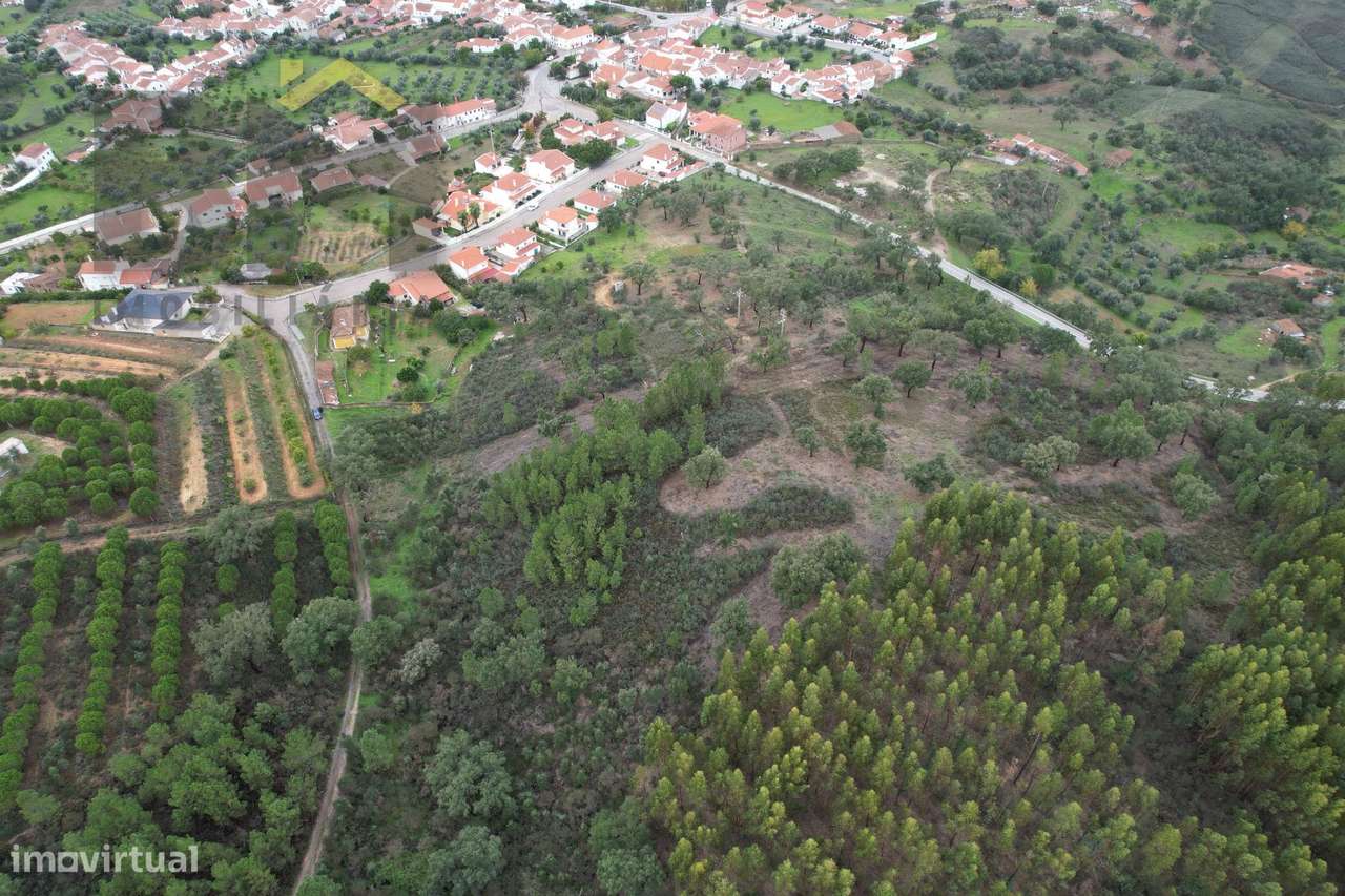 Terreno Rústico  Venda em Fratel,Vila Velha de Ródão - Grande imagem: 4/9
