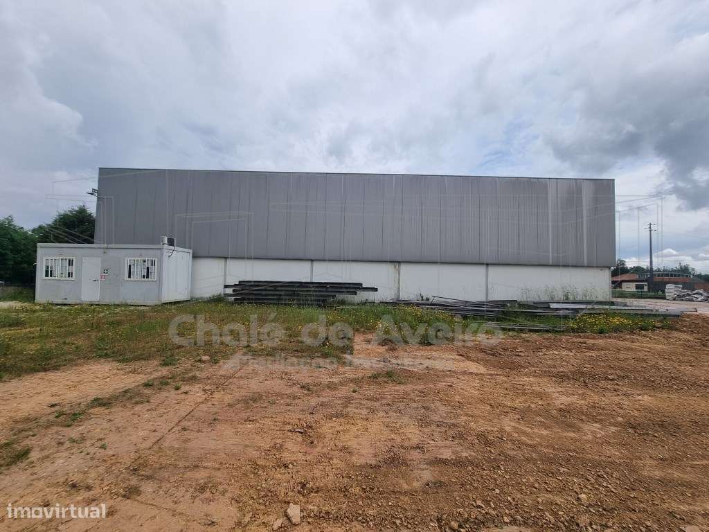 Armazém Industrial (Albergaria-a-Velha)-5