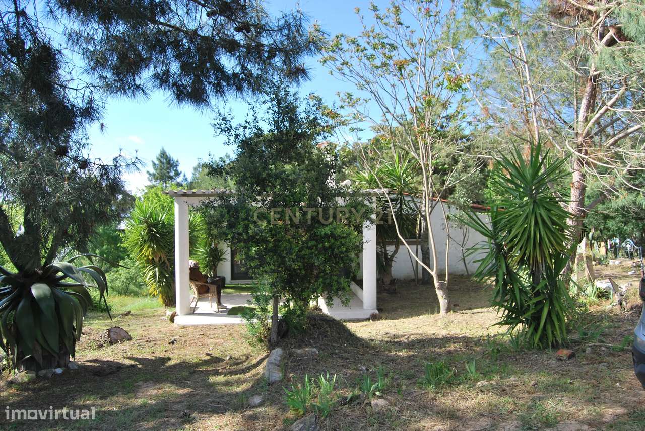 Terreno rústico 28200m2 em Vale do Junco, Chamusca, Golegã-13