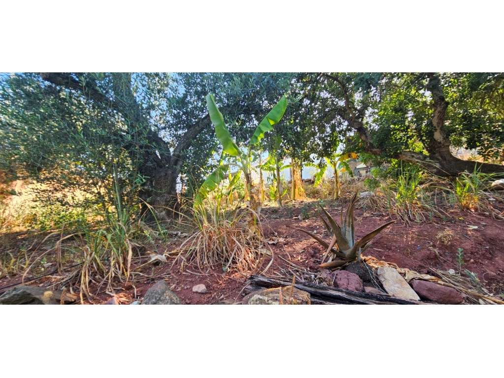 3 Ruinas para recuperar no centro de Santa Catarina, Tavira-21