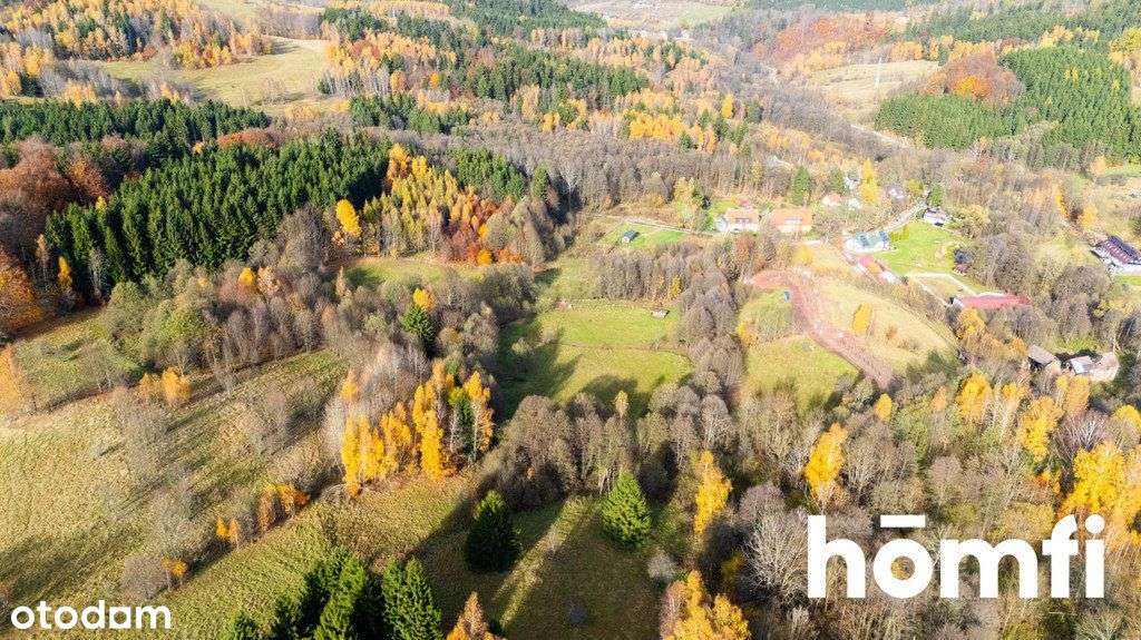 Działki rekreacyjne w otulinie:lasu, ciszy,spokoju - Pełny obrazek: 5/17