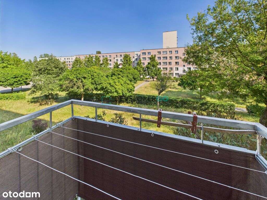 *1 piętro*3 pokoje *osobna kuchnia *osiedle Piasta - Pełny obrazek: 3/12