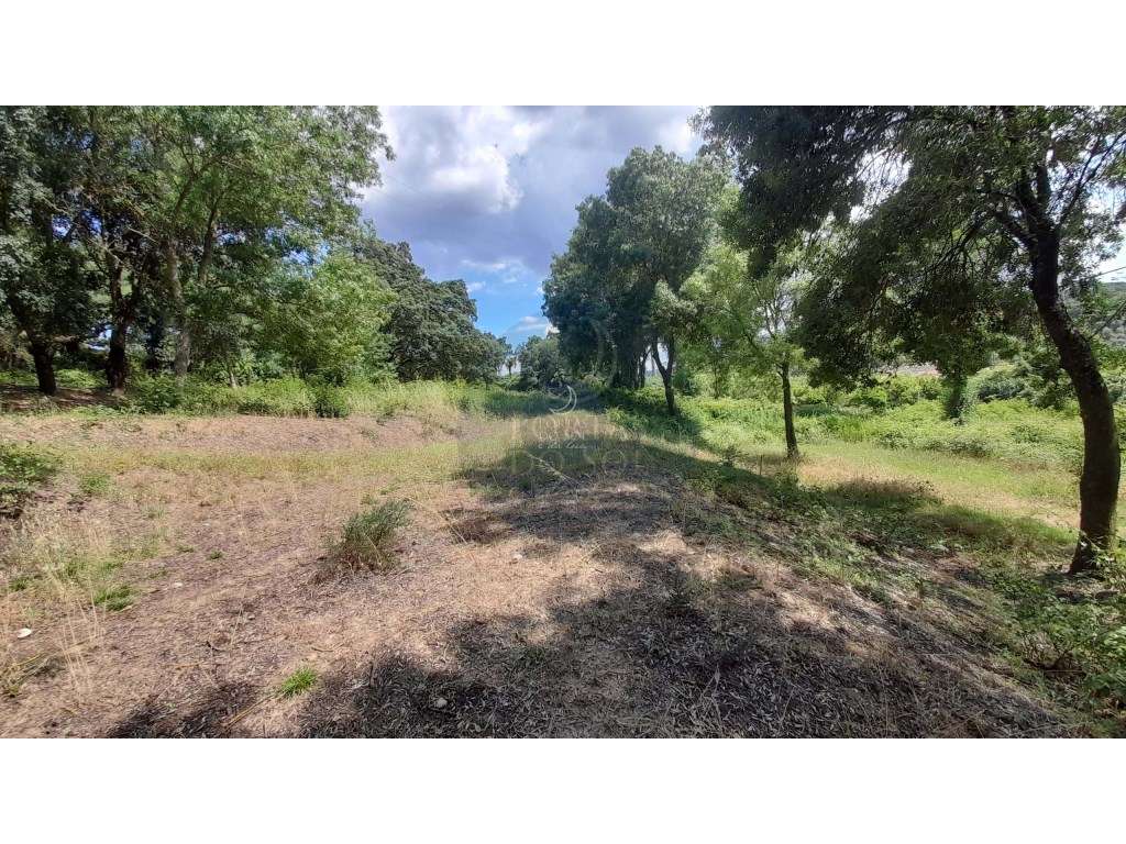 Terreno c 11680m2 p habitação - Grande imagem: 5/6