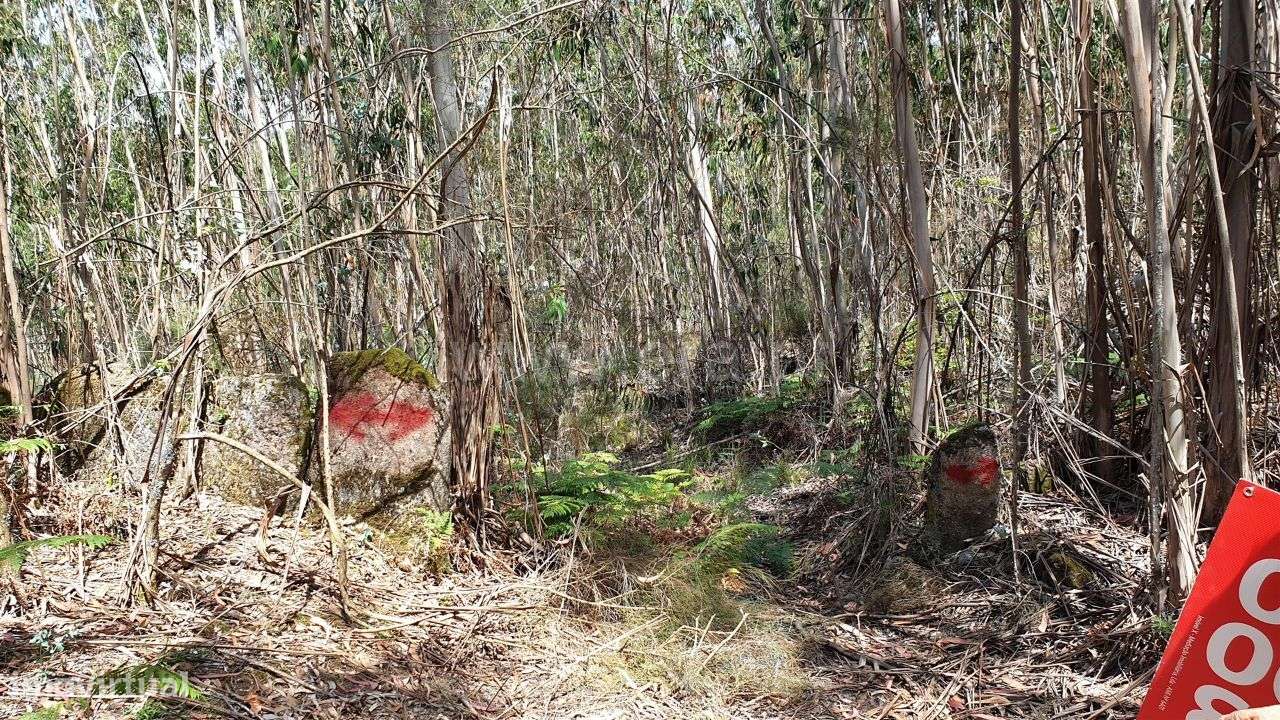 Terreno com 31.040 m2 em Cabeceiras de Basto - Grande imagem: 3/12