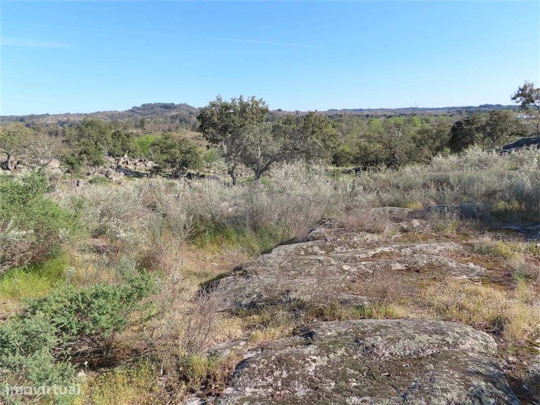 Quinta  para venda - Grande imagem: 2/19