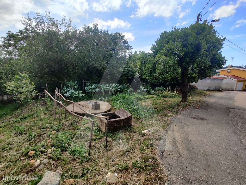 Terreno em Macinhata do Vouga para construção de moradia - Grande imagem: 3/8