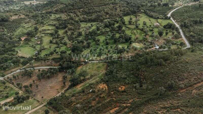 Terreno / Fundão, Telhado - Grande imagem: 3/7