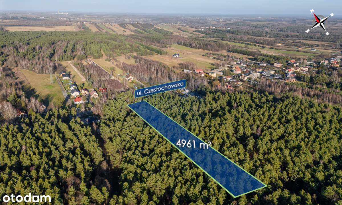 Duża działka budowlana - leśna Srocko gm. Mstów - Pełny obrazek: 4/5