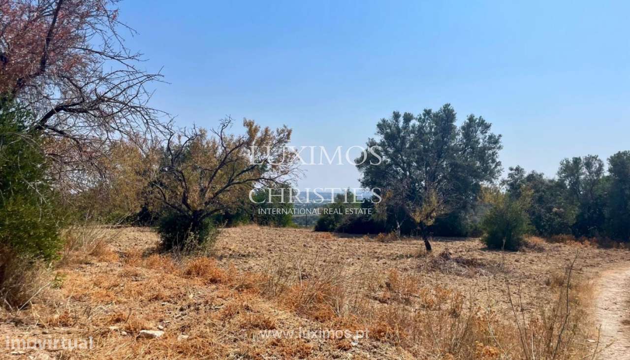 Terreno com ruína, para venda em Estoi, Algarve - Grande imagem: 4/11