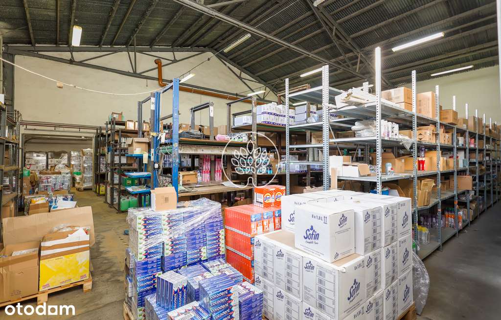 Hala magazynowa w kapitalnej lokalizacji-Szajnochy - Pełny obrazek: 3/16