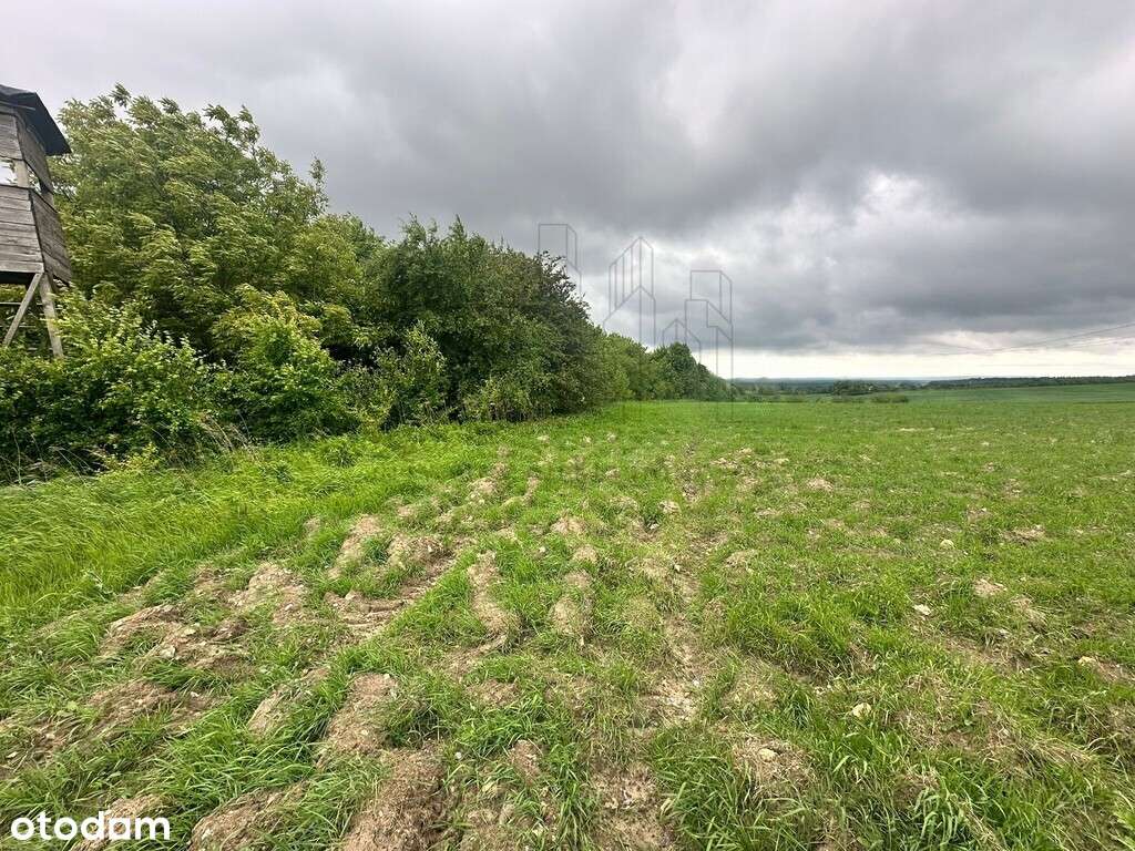 Podzamcze-działki w sąsiedztwie Zamku Ogrodzieniec-12