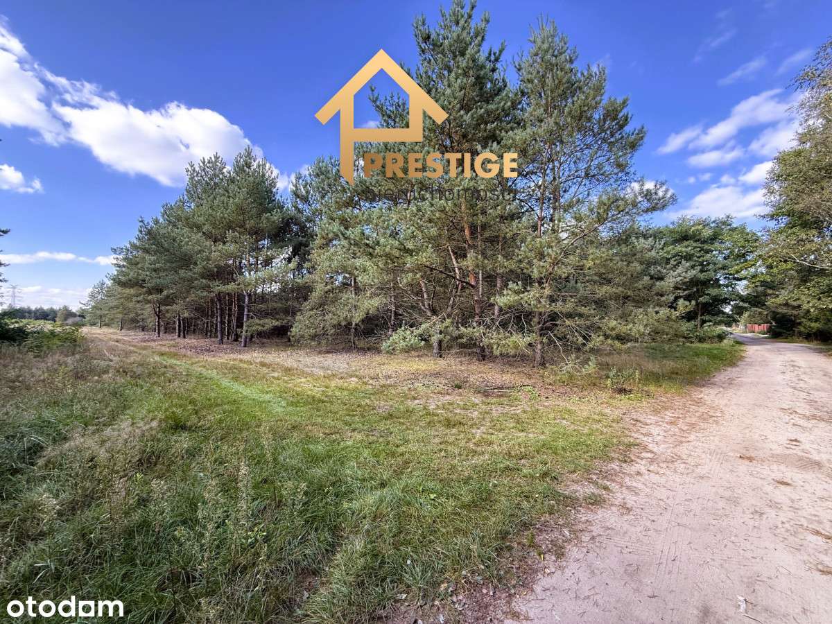 Działki budowlane Rosocha-Kolonia-2