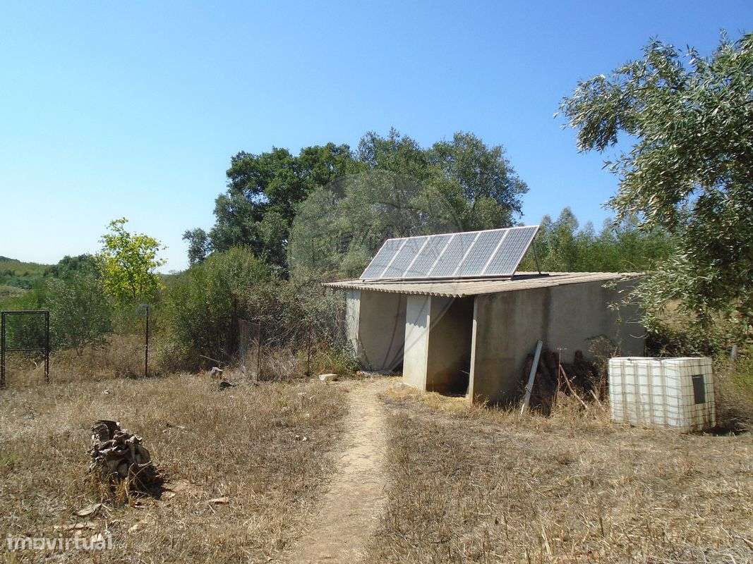 Quinta T5 para venda-2