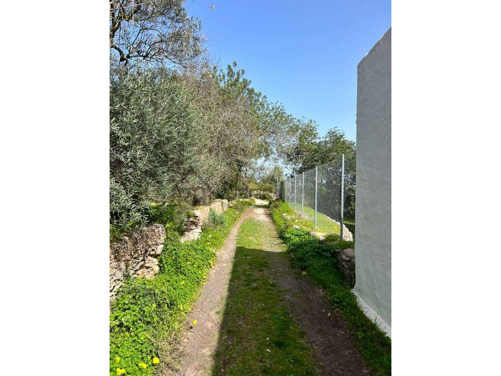 terreno rústico no sitio dos Quartos, Loulé - Grande imagem: 4/11