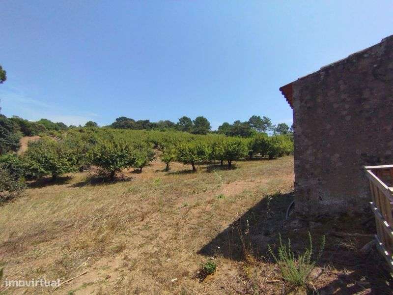 Terreno Rústico para exploração agricola com 57.324m2 - Grande imagem: 5/10